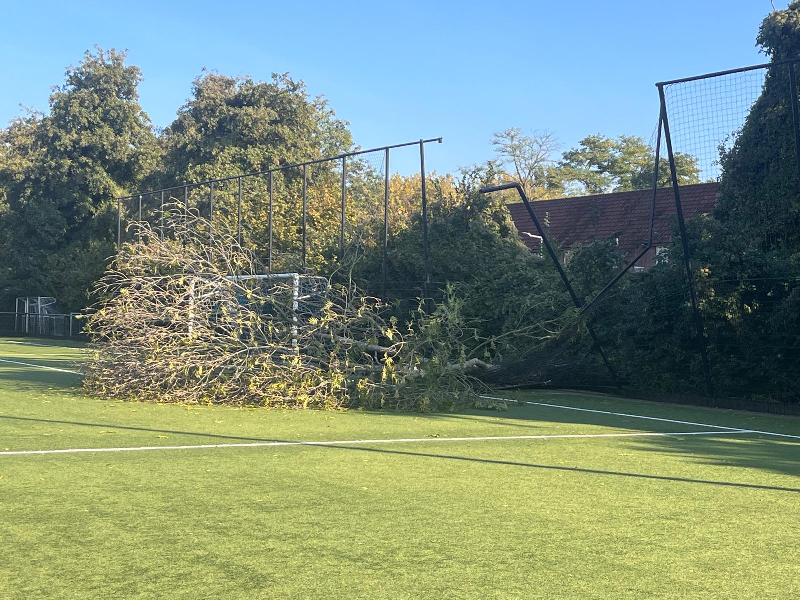 Wegens omgevallen boom kan er niet worden getraind op veld 2B